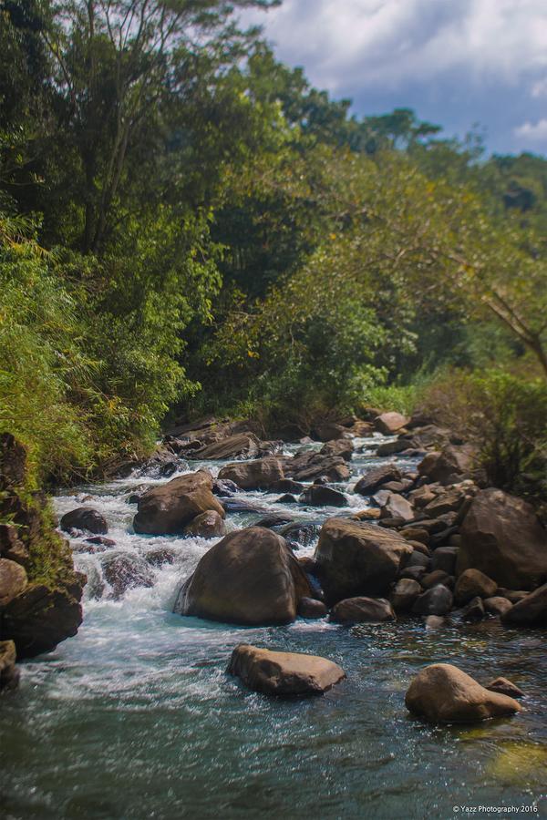 Jungle River Ginigathena Exteriör bild