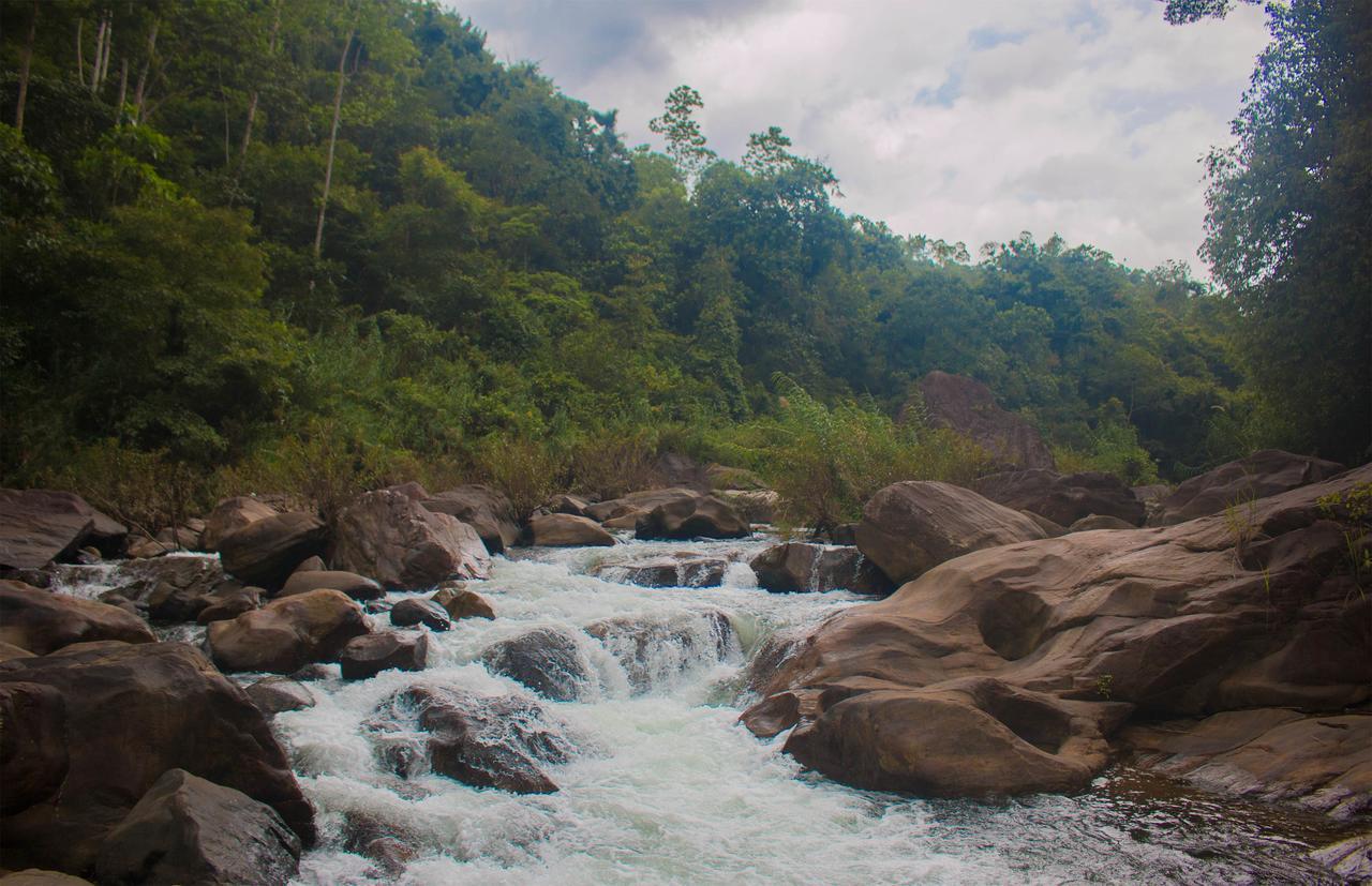 Jungle River Ginigathena Exteriör bild