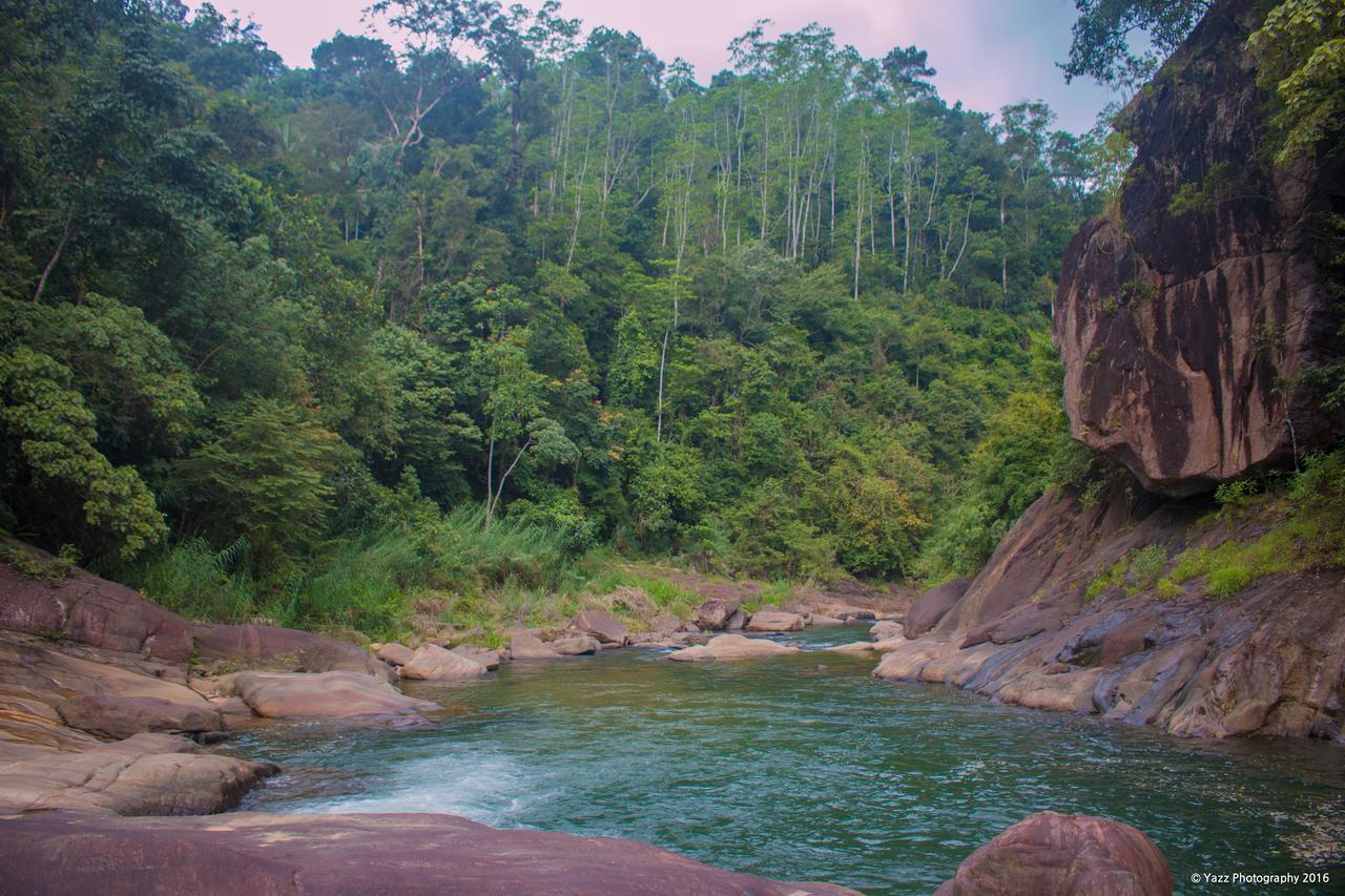 Jungle River Ginigathena Exteriör bild