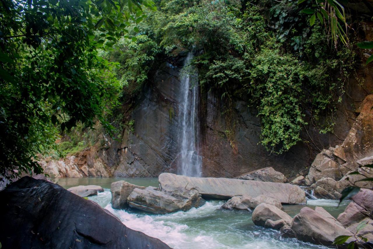 Jungle River Ginigathena Exteriör bild